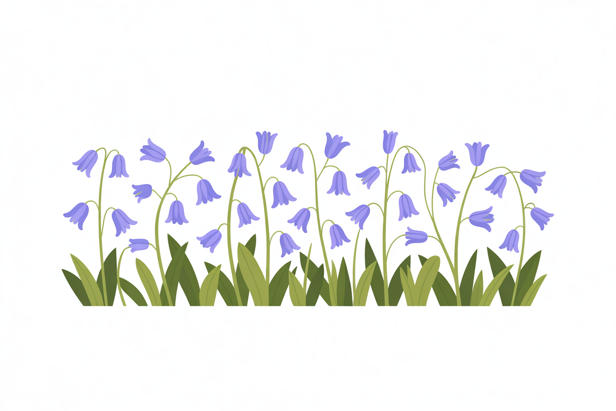 Flat vector illustration of bluebell flowers