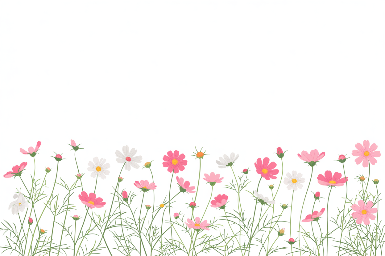 Flat vector illustration of cosmos flowers