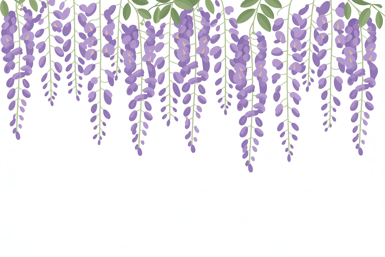 Flat vector illustration of hanging wisteria blossoms