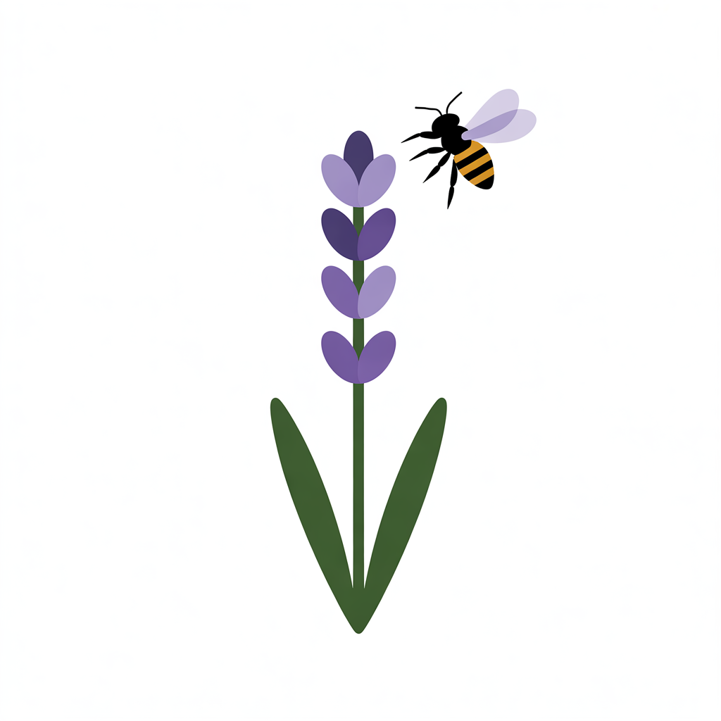 Flat vector illustration of lavender with a bee