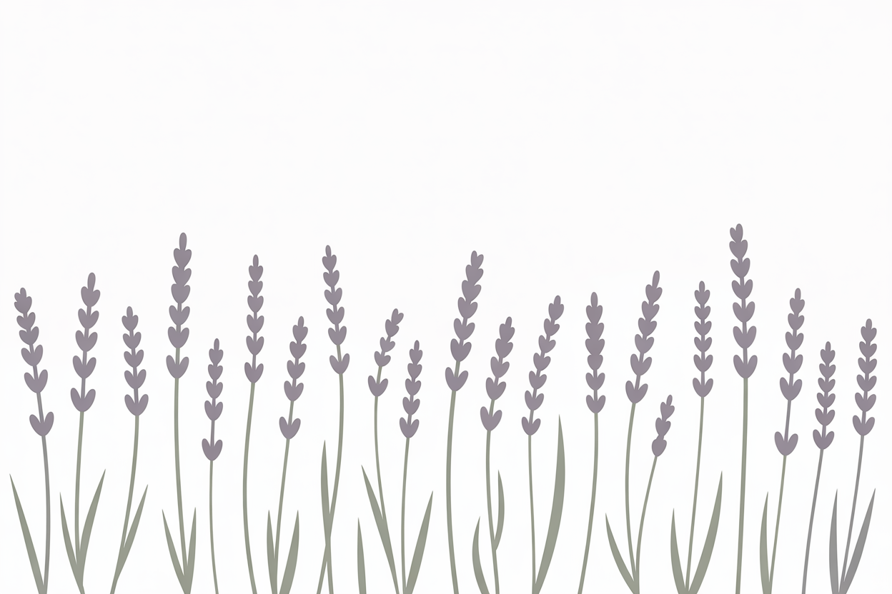 Flat vector illustration of dried lavender seed heads