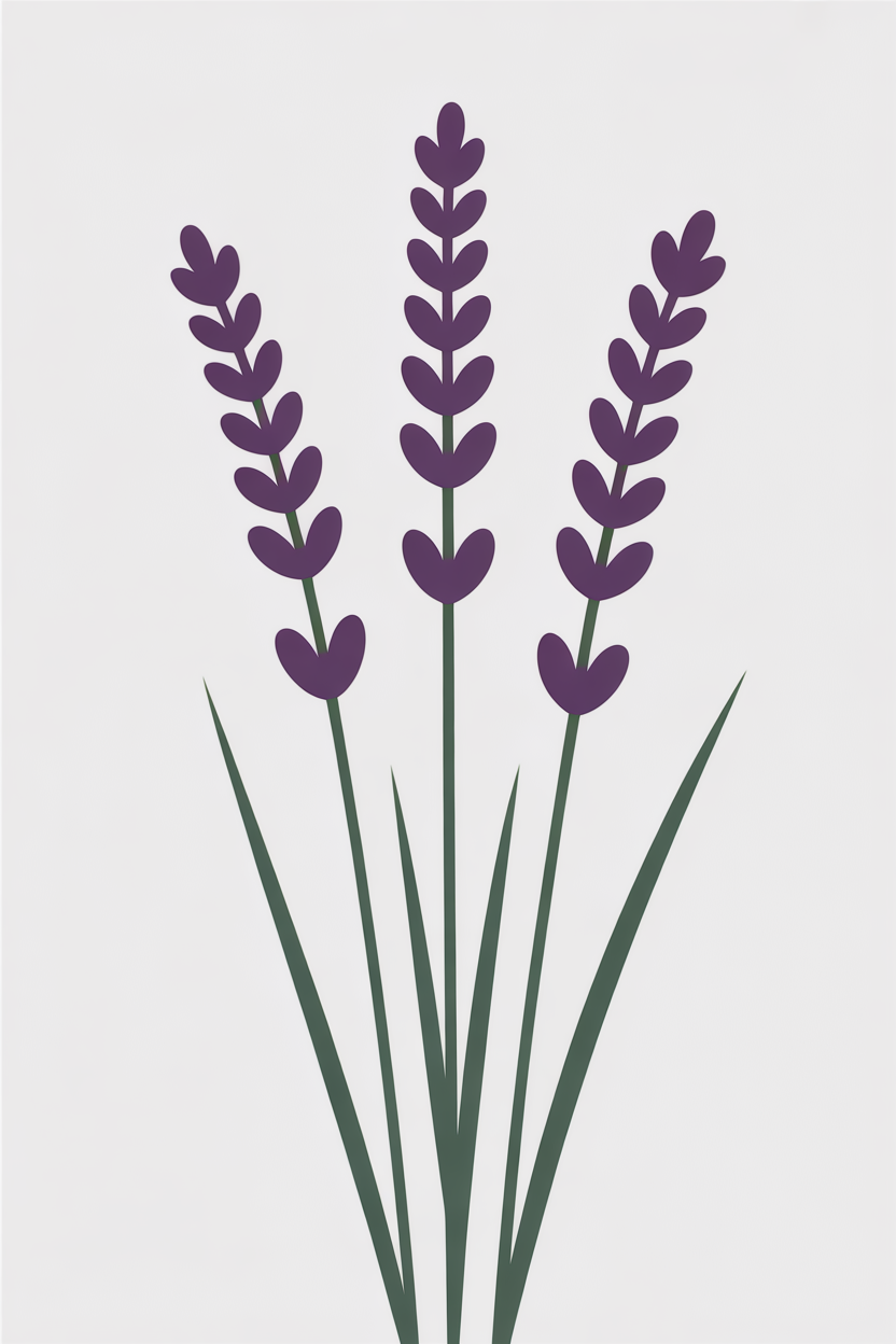 Flat vector illustration of tall lavender stems