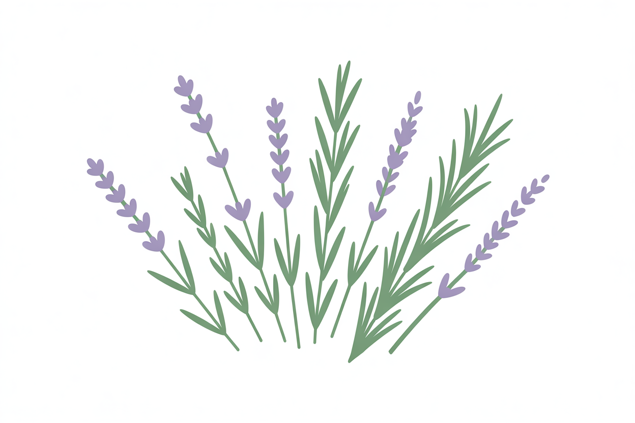 Flat vector illustration of lavender and rosemary