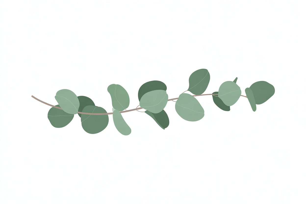 Flat vector illustration of eucalyptus sprigs