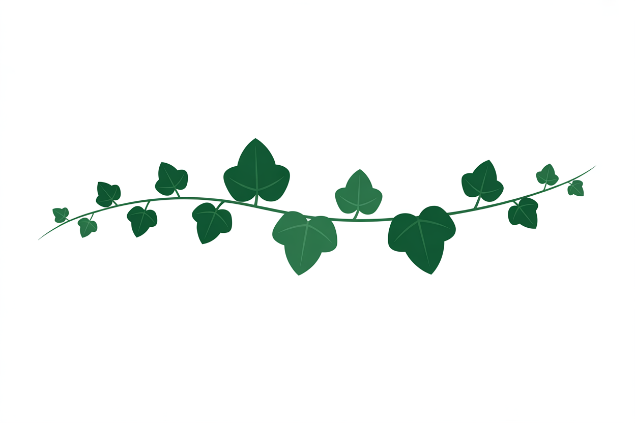 Flat vector illustration of an ivy vine