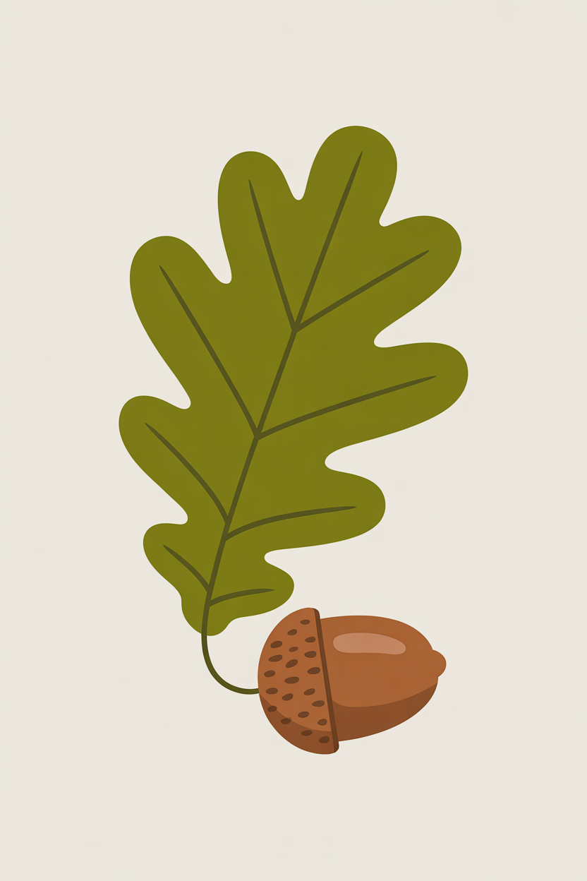 Flat vector illustration of an oak leaf and acorn