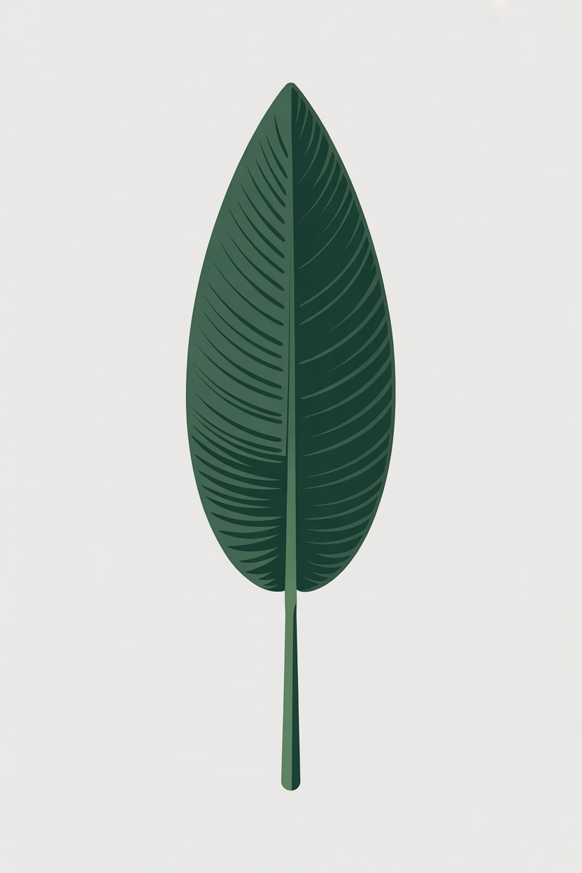 Flat vector illustration of a bird-of-paradise leaf