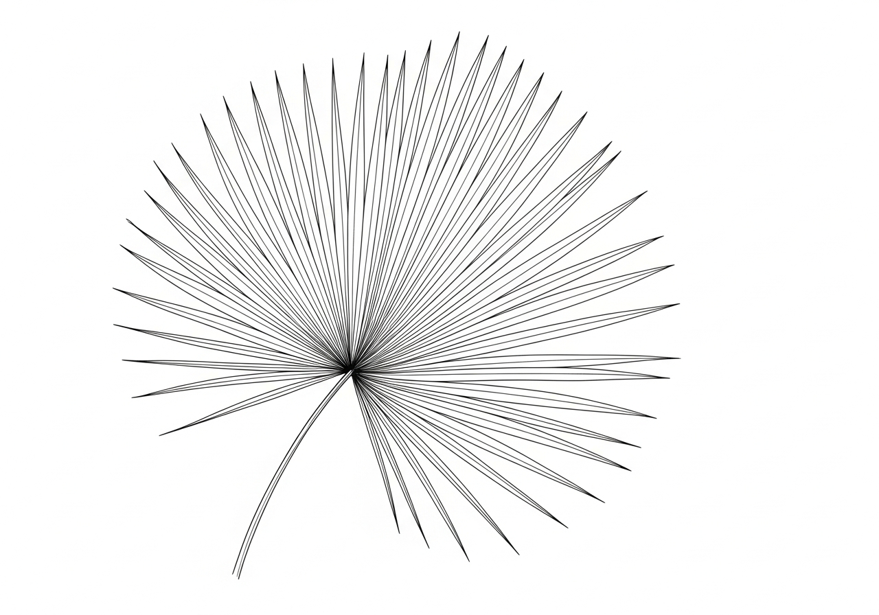Line art illustration of a palm frond