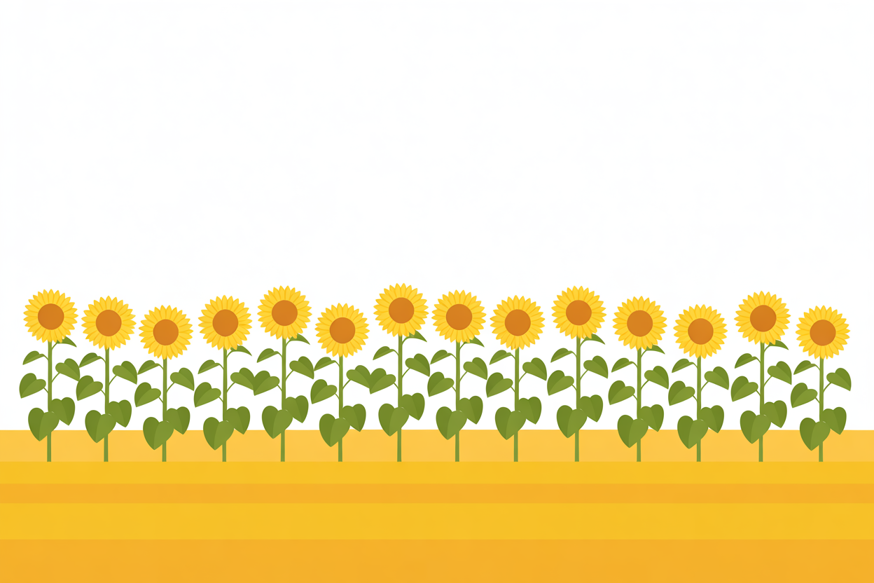 Flat vector illustration of a sunflower field