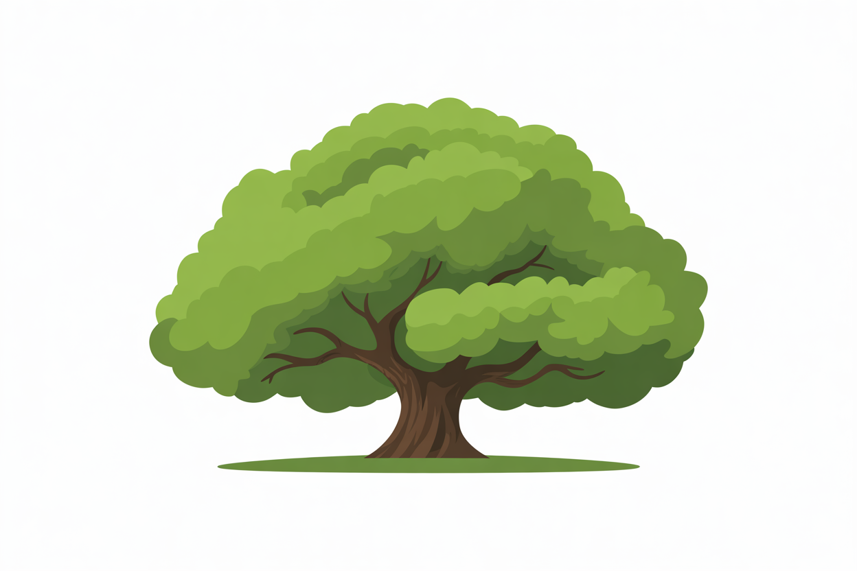 Flat vector illustration of an oak tree in summer