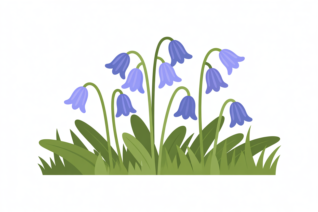 Flat vector illustration of a bluebell patch