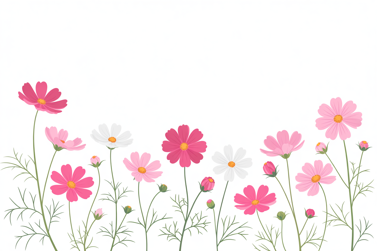 Flat vector illustration of scattered cosmos flowers