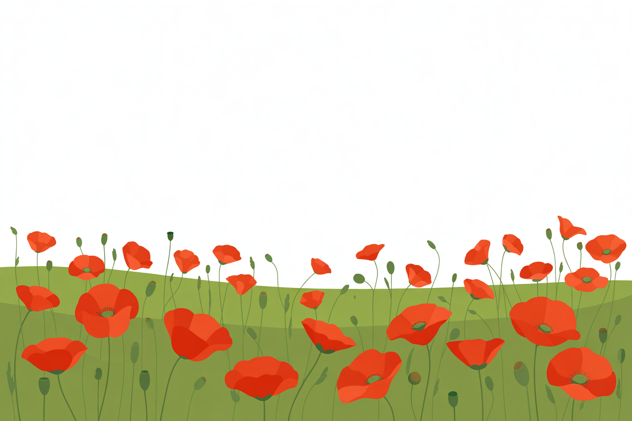 Flat vector illustration of a poppy field